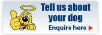 Tell us about your dog
