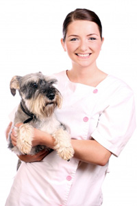 Vet