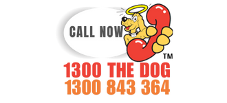 call now