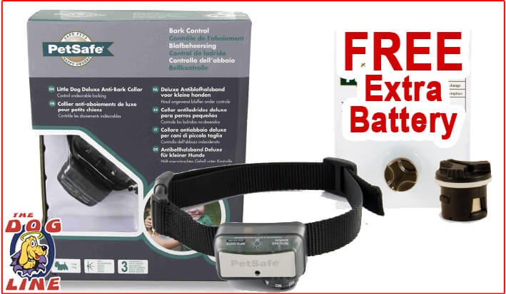 highest rated bark collar