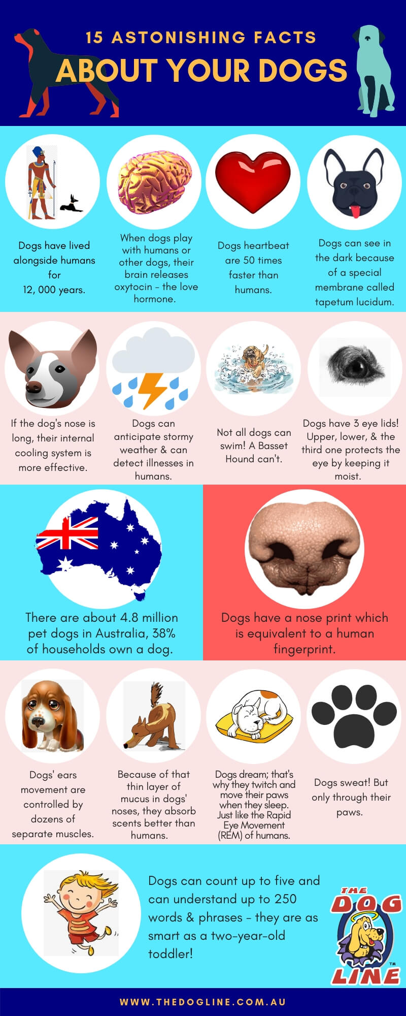 15 amazing facts about dogs