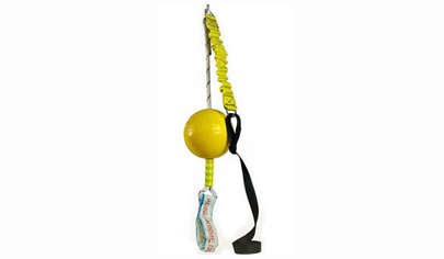 bungee ball dog toy